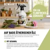 REAVET Flohspray für Katzen & Hunde 500ml - Sofortschutz Produktbild-Vorschau 3
