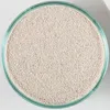 Bahamas Oolith 9,07 kg - Sable de récif exotique Premium Voir les images du produit 2