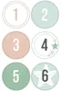 Folia 9396, Mehrfarbig, 175 mm, 100 mm, 55 mm Produktbild-Vorschau 9
