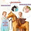 Mechanisches Pferd auf Rollen Ponnie Fancy M Produktbild-Vorschau 4