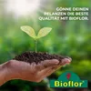 Bioflor Hornspäne 5 kg Beutel, 14% N, 100% natürlicher Produktbild-Vorschau 5
