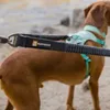 Ruffwear Double Track™ Koppelleine Produktbild-Vorschau 9