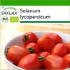SAFLAX - BIO - Rajče - Principe Borghese - Solanum Náhled obrázku produktu 10