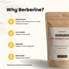 Goyu Berberin-Extrakt 400 mg (60 Kapseln) Produktbild-Vorschau 5