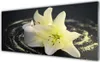 Acrylglasbilder 125x50 Wandbild Druck Blume Pflanzen Produktbild-Vorschau 1