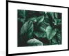 MuchoWow® MuchoWow® Gerahmtes Poster Dschungel - Blätter - Produktbild-Vorschau 1