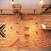 QLS Kit mur d'escalade pour chats XXL Ponts suspendus Lit Voir les images du produit 6