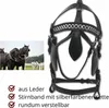 AMKA Fahrzaum für Fahrgeschirr Kopfgestell  Kopfstück mit Produktbild-Vorschau 2