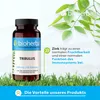 Bioherba | Tribulus Terrestris 250 mg Produktbild-Vorschau 4