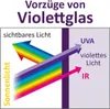 Diagram illustrating the properties of violet glass, showing how it interacts with sunlight, visible light, UVA, violet light, and IR. Produktbild-Vorschau