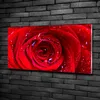 Tulup® Glas-Bild - 100x50 -Wandkunst - Wandbild hinter Produktbild-Vorschau 2