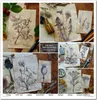Scrapbooking-Papier Set 30×30 cm – SLS-049 Herbarium 2 – Produktbild-Vorschau 2