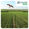 VOUNOT® 2er Set Vogelschreck Falke Drachen mit 4m Produktbild-Vorschau 2