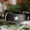 Hunter Halsband Magic Star Ökoleder schwaz S-M 50 cm Produktbild-Vorschau 4