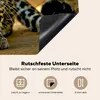 KitchenYeah© Herdabdeckplatte Leopard - Raubtier - Porträt Produktbild-Vorschau 5