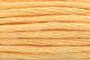Anchor Sticktwist 4635000-00311 apricot Stickgarn, 100 % Produktbild-Vorschau 2