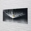 Glasbilder 140x70 Wandkunst Tropfen Löwenzahn-Makro Produktbild-Vorschau 2