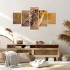 Bild auf Leinwand - Leinwandbild - Löwe Natur Tier - Produktbild-Vorschau 7