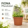 Pflanztopf Fiona Terrakotta Ø 25cm - Frostsicher & Produktbild-Vorschau 2