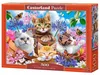Puzzle 500 pièces Chatons avec Fleurs Castorland 53513 Voir les images du produit 5