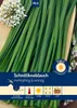 Artikelbild 1 von 'Schnittknoblauch Gewürzlauch' aus der Kategorie Knoblauchsamen Produktbild-Vorschau