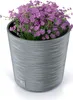 A gray textured planter filled with purple flowers. Náhled obrázku produktu
