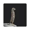 MuchoWow® Mauspad Mousepad Erdmännchen - Wilde Tiere - Produktbild-Vorschau 1