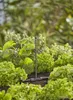 Micro-Drip-System Sprühdüse 360°, 5 Stück (schwarz/türkis, Produktbild-Vorschau 16