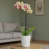 Leni FLORI orchid Orchideentöpfe 4er Komplett-Set Ø 13 cm H Produktbild-Vorschau 5