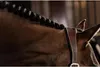 Copricapo Kentucky Horsewear per cavezza in pelle Anatomic Anteprima dell’immagine prodotto 5