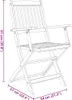 vidaXL set da pranzo da giardino 9 pezzi pieghevole in Anteprima dell’immagine prodotto 6