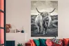 MuchoWow® Poster Schottischer Hochländer - Tiere - Wolken - Produktbild-Vorschau 2