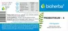 Bioherba | 4 Strain Probiotic | with Riboflavin Produktbild-Vorschau 3