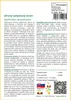 SAFLAX - Africký tulipánový strom - Spathodea campanulata - Náhľad obrázku produktu 3
