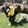 Two large dogs playing with a yellow duck toy in a grassy yard. Produktbild-Vorschau