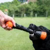 Chien Comets Meteor Wurfstock - Orange / L Voir les images du produit 8