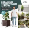 XL Pflanzkasten „Millennium“ 49x49x49 cm - 80L Volumen - Produktbild-Vorschau 5