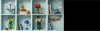 LEGO® Icons 10329 Miniatúrne rastliny Náhľad obrázku produktu 30