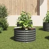 Raised garden beds with plants in a backyard setting. Náhled obrázku produktu