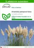 SAFLAX - Americká pampová tráva - Cortaderia selloana - 200 Náhled obrázku produktu 1