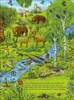 Das große Wimmelbuch der Tiere Podgląd zdjęcia produktu 2