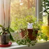 Relaxdays Hliněné zálivkové kužely, sada 4 ks, po 100 ml, Náhled obrázku produktu 3
