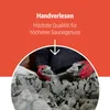 A person wearing red gloves is selecting stones from a pile. Produktbild-Vorschau