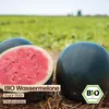 Samenliebe  Melone Samen | Sugar Baby - rot & sehr süß & Produktbild-Vorschau 4