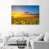 Obraz na plátne slnečnicová lúka pri západe slnka 60x40 cm Náhľad obrázku produktu 2