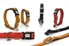 Beeztees - Hundehalsband - Mac Kunstleder - rot - 45-70 cm Produktbild-Vorschau 3