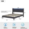 ProximaX Polsterbett mit USB Ladefunktion und LED-Kopfteil Produktbild-Vorschau 4