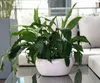 KOTARBAU® Keramik-Blumentopf Übertopft Blumenschale für Produktbild-Vorschau 3