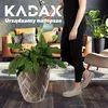 KADAX "Jesi" květináč s vložkou, plastový květináč, odolný Náhled obrázku produktu 2