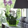 Orchids in a green planter on a table next to a lamp and a sofa. Anteprima dell’immagine prodotto